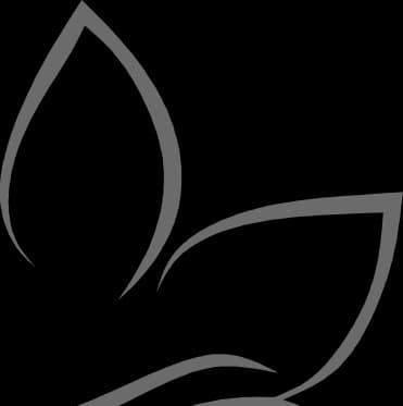 Lotus decoration